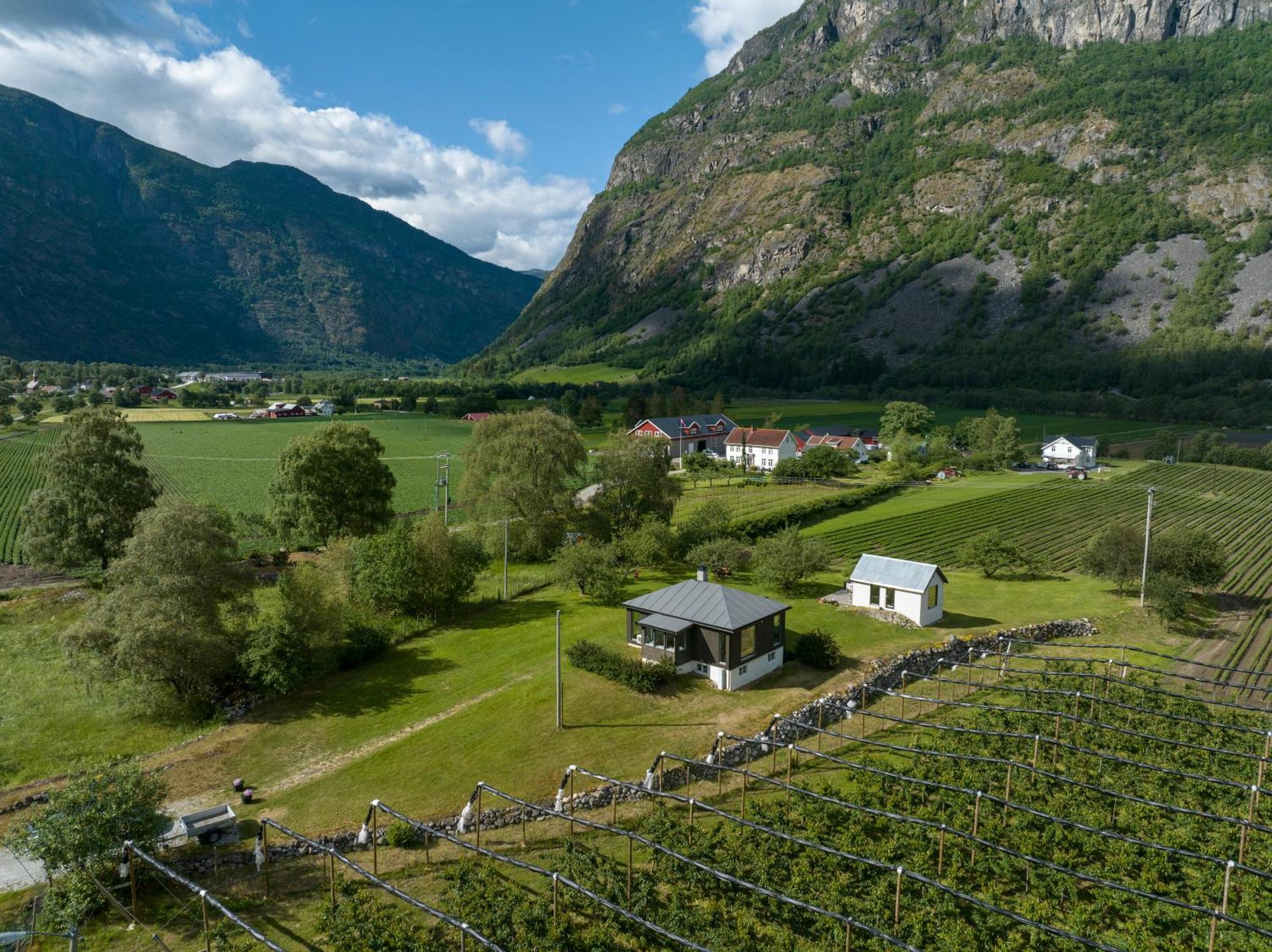 Jordeplegarden Holiday Home - Part Of A Farm - Two Buildings - Close To Flam Laerdalsoyri Luaran gambar