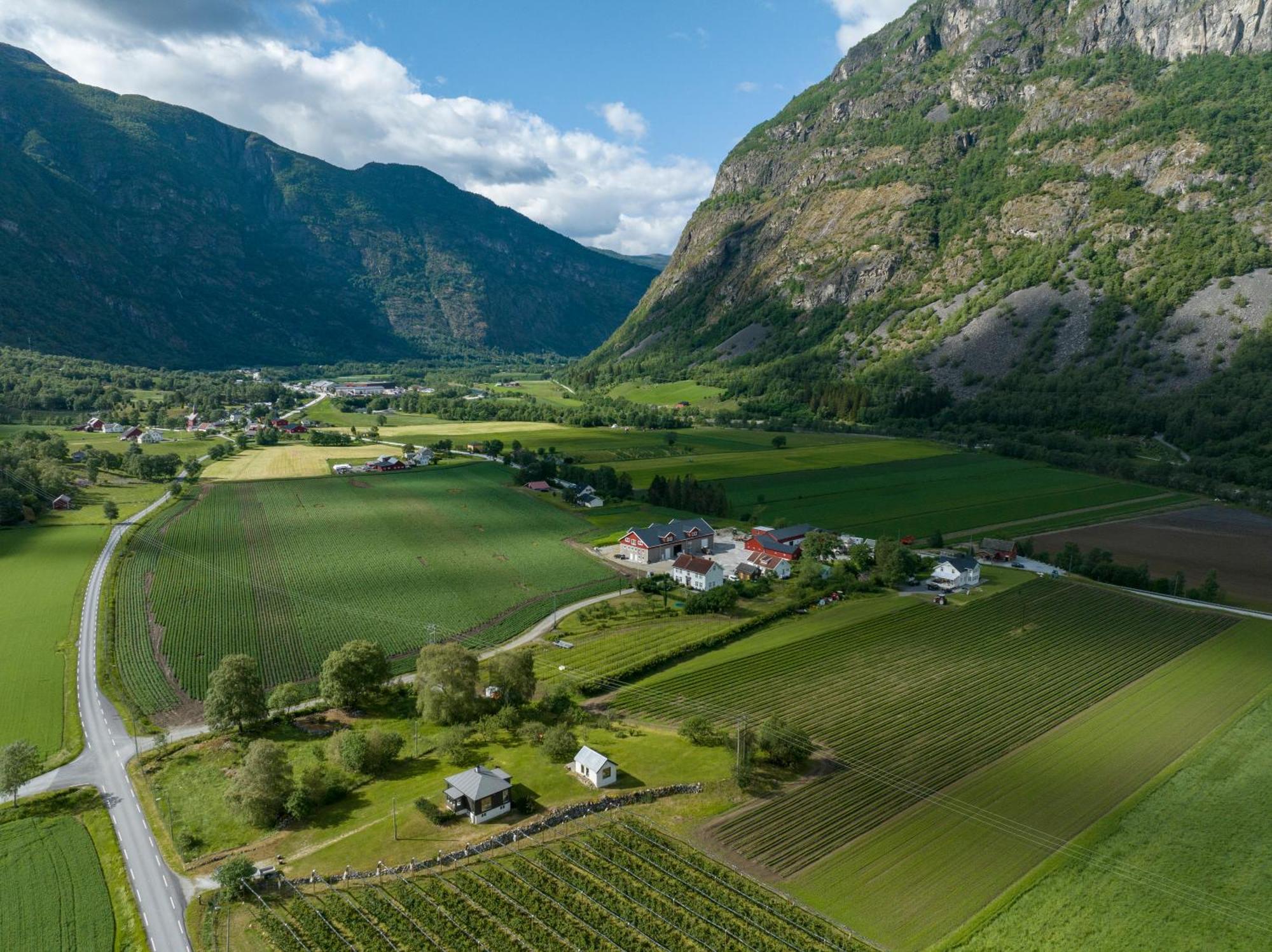 Jordeplegarden Holiday Home - Part Of A Farm - Two Buildings - Close To Flam Laerdalsoyri Luaran gambar